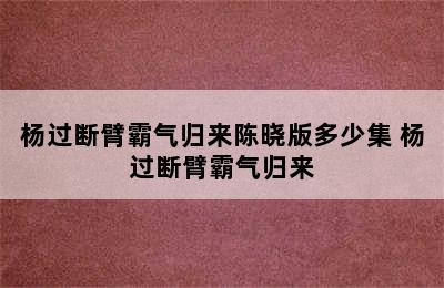 杨过断臂霸气归来陈晓版多少集 杨过断臂霸气归来